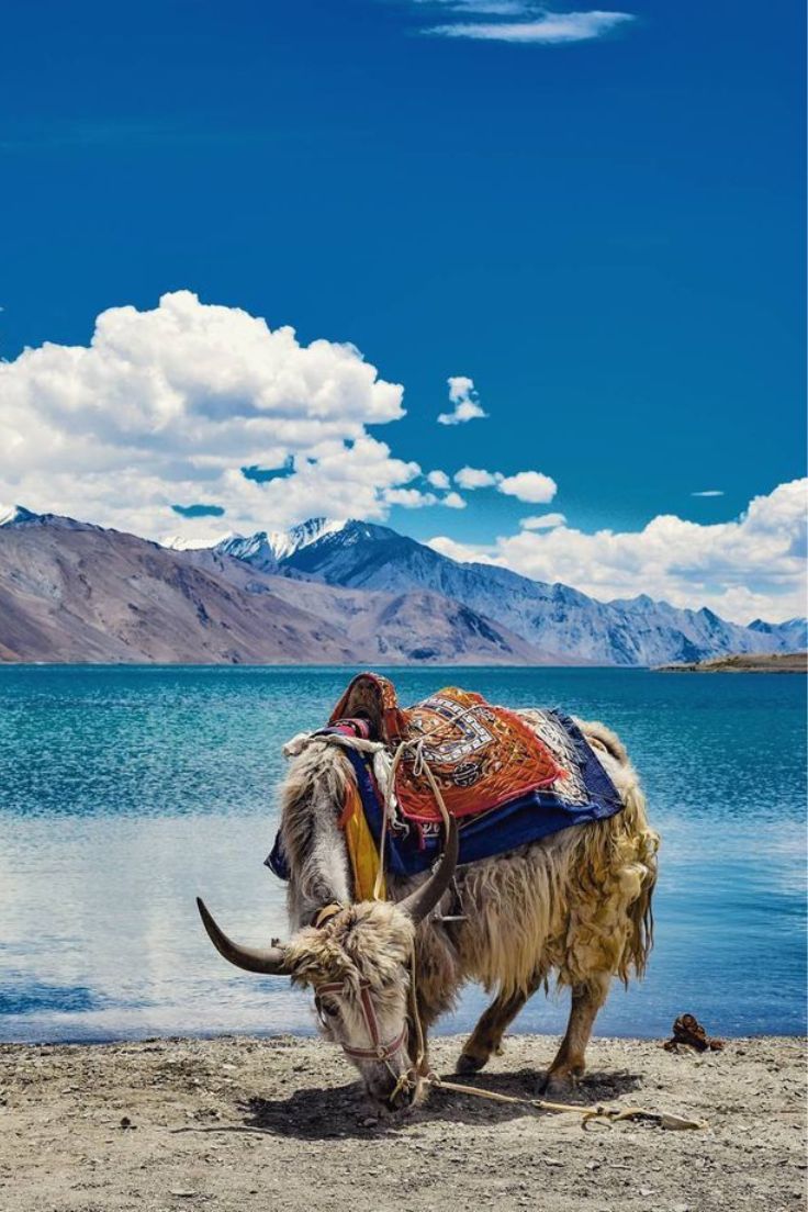 Ladakh Tour Package