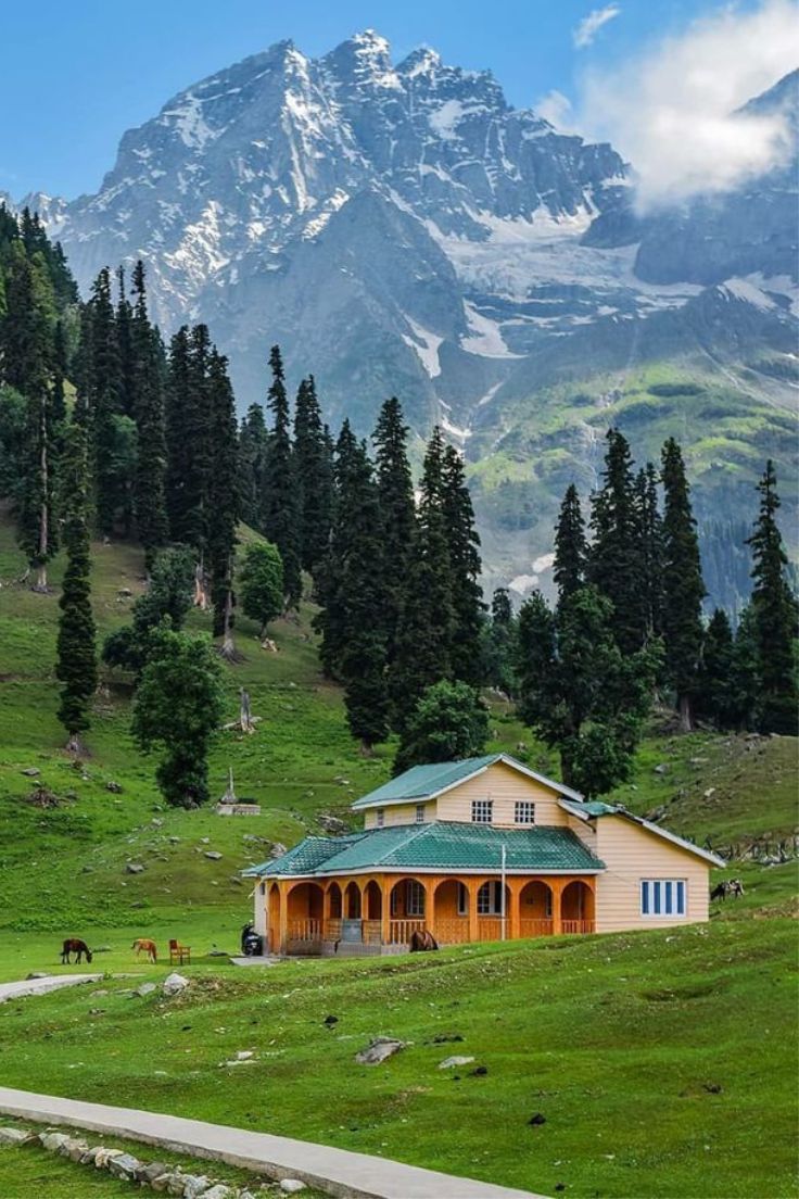 Kashmir Tour Package